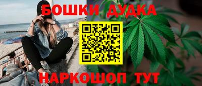 сатива Тверь