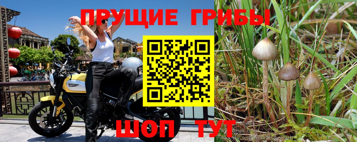 Нижневартовск  Галлюциногенные грибы ЛСД  Вход с VPN 